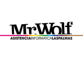 Logo Mr.Wolf Asistencia Informática